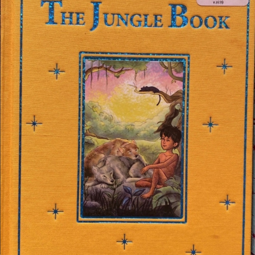 Books - Picture 6 of 7